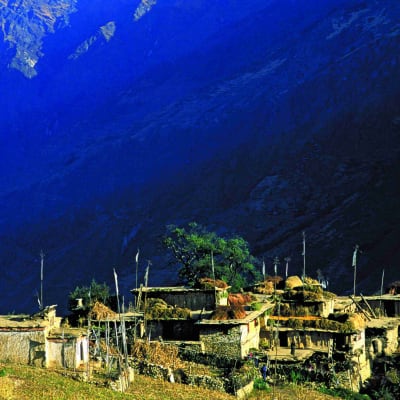 Tashi Ling Tibetan Village Pokhara (820 m) - Australian Camp (2050 m)