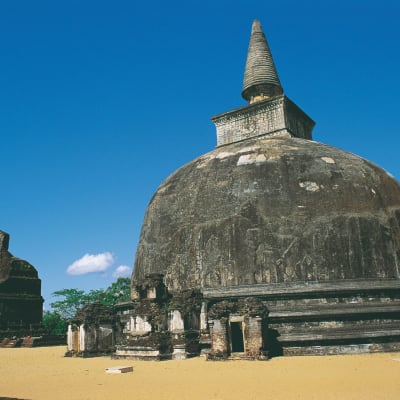 Safari à Minneriya - Habarana - Polonnaruwa - Minneriya - Habarana
