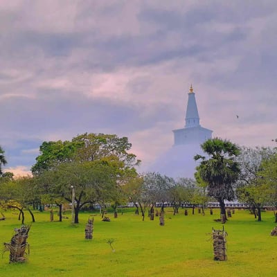 Negombo a Yapahuwa et Anuradhapura (4 h)