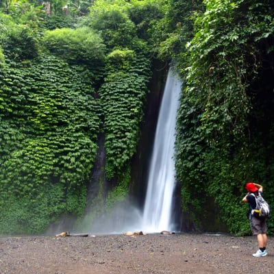 Traversée de la jungle- Cascades naturelles