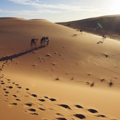 Tenouchert - Oued R'Kawya