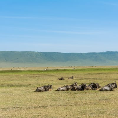 Serengeti - Cratère du Ngorongoro - Ville de Mto Wa Mbu