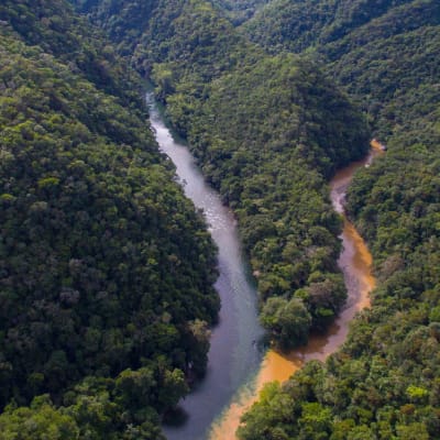 Départ pour la région sauvage du Meta