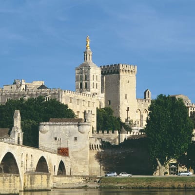 En option - Une journée supplémentaire à Avignon