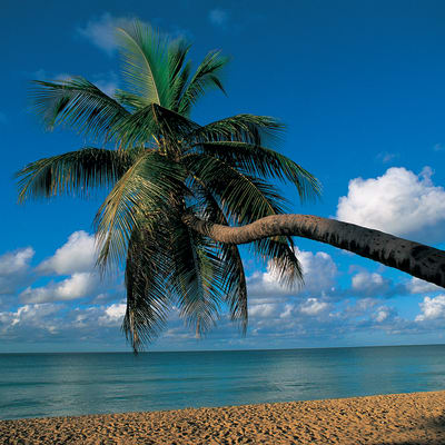Les plages du sud  (Martinique)