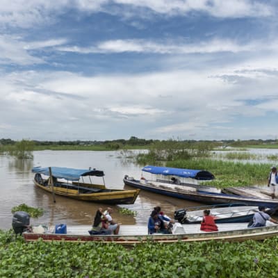 Direction Leticia, Amazonie