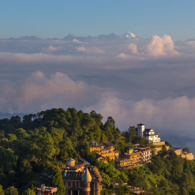 Jour 1 : Arrivée à Kathmandu et transfert à l'hôtel (1 350m).