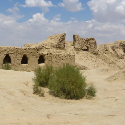 Tachkent - Ourguentch - Touprakala - Khiva -180 km