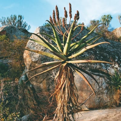 Parc national de Matobo