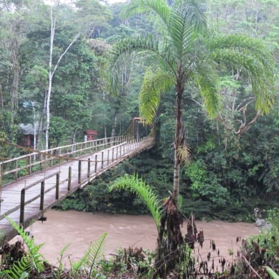Excursion à Mocagua, atelier d'artisanat et fondation Maikuchiga