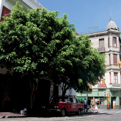 Arrivée à Buenos Aires