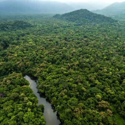 Randonnée et canoë dans la forêt pluviale