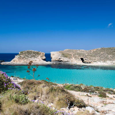 Gozo Tuk Tuk journée complète OU Gozo Tuk Tuk et Kayak