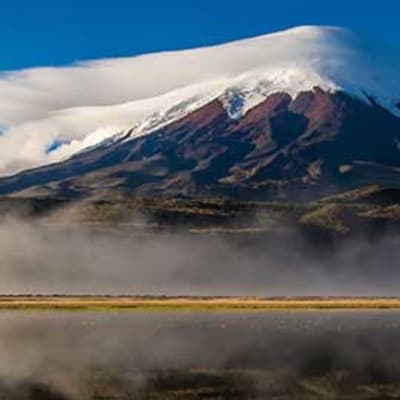 Randonnée dans l'avenue des volcans