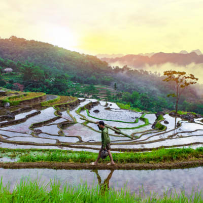 JOUR 03 : BA BE - BAN GIOC