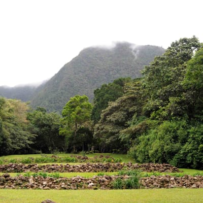 El Valle de Anton
