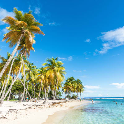 Arrivée dans les îles de Guadeloupe !