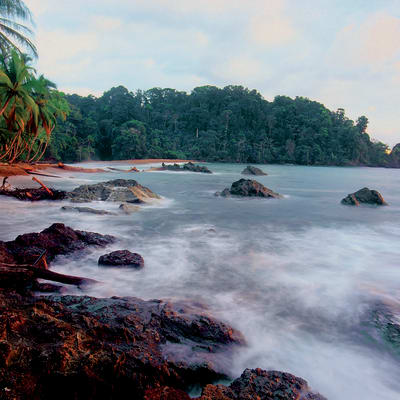Corcovado, observation d animaux