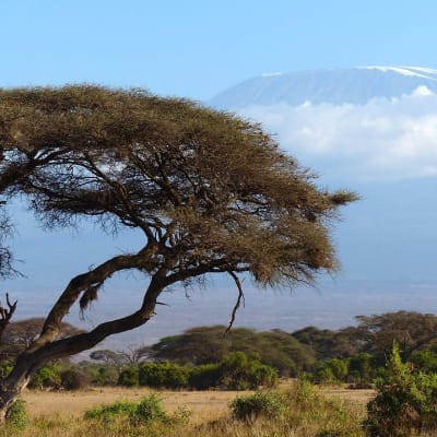 Arrivée en Tanzanie
