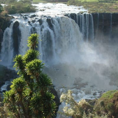 VOL ADDIS ABEBA - BAHIR DAR