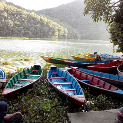 Katmandou- Pokhara- Tashi Ling Village Tibétain