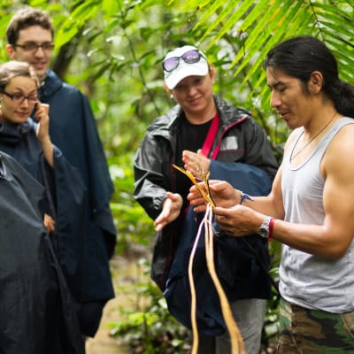 Aventure en Amazonie