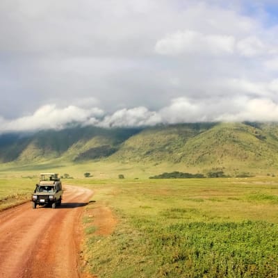 Randonnee dans l'aire de conservation du sud de Ngorongoro