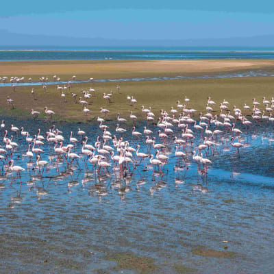 Swakopmund