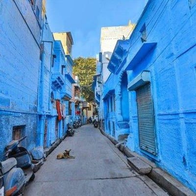 Udaipur - Ranakpur - Jodhpur  (250kms/6h)
