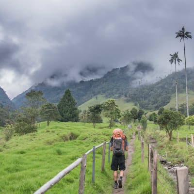 Salento et la valée du Cocora