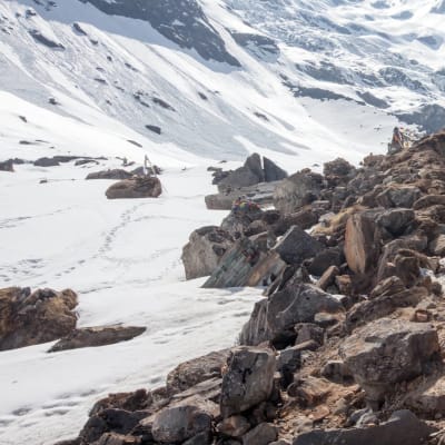 Trek jusqu'à Ghorepani 2,840m - 7 heures