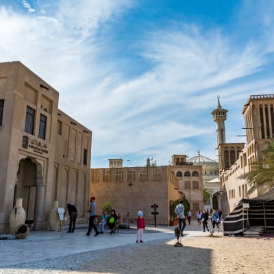 Journée complète de visite de la ville de Dubaï, classique et moderne