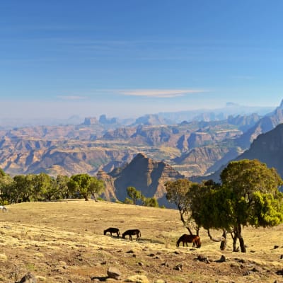 ROUTE DE BAHIR DAR AUX MONTS SIMIENS VIA GONDAR