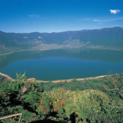 Cratère du Ngorongoro - Parc national du Serengeti