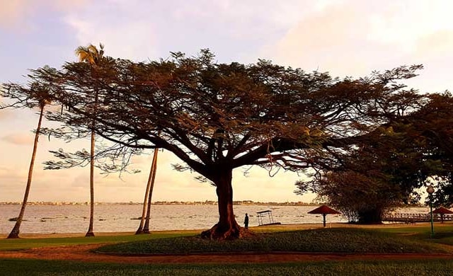 The must-sees of Côte d'Ivoire