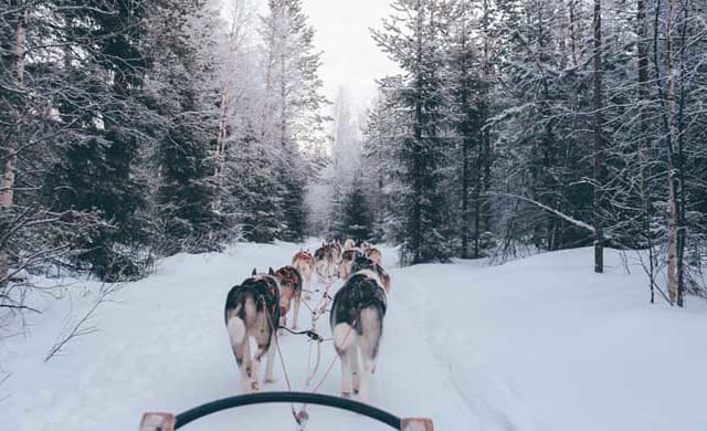 Découvrir la Finlande autrement