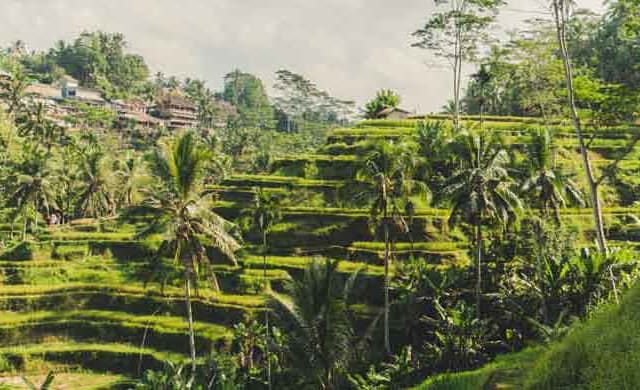 Must-See Attractions to Discover
