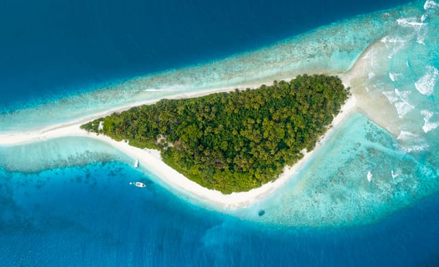 Must-see Discoveries