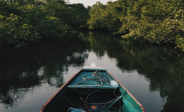 Must-see Discoveries
