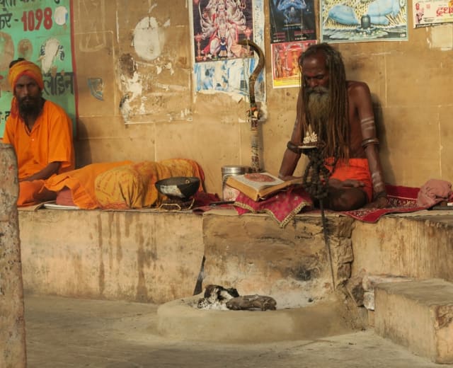 Découverte du Rajasthan, tigres et temples érotiques