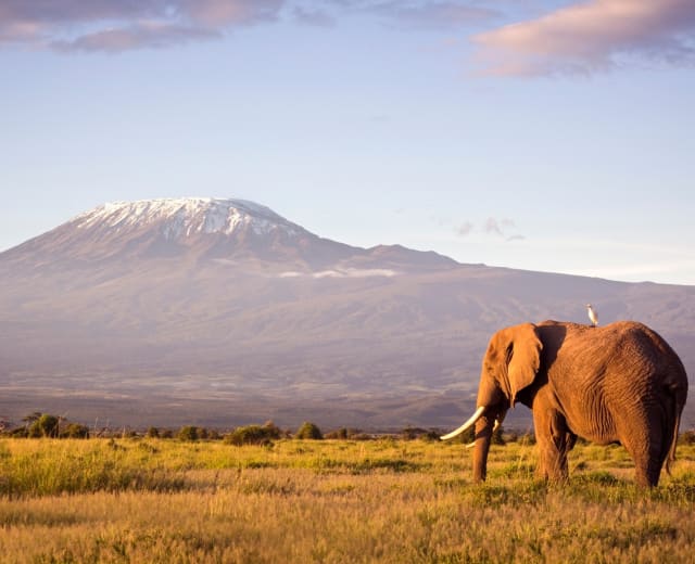 11 jours de safari dans le Sud de la Tanzanie