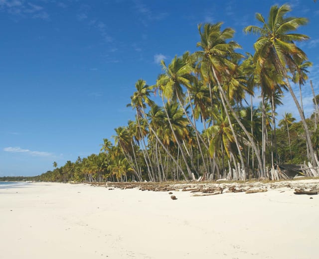 Bali et Sulawesi, îles aux merveilles