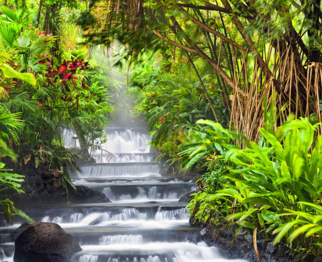 Découverte du vrai Costa Rica tourné vers la terre et l'agriculture
