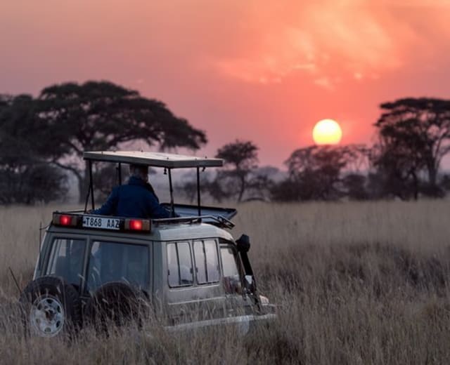 Safari des incontournables en 6 jours