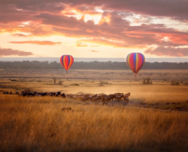 6 jours - Kenya Majestic Private Safari