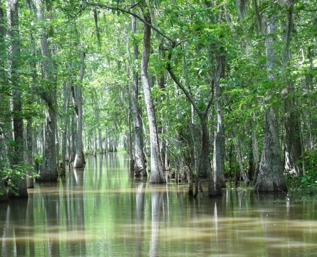 Les incontournables de la Floride