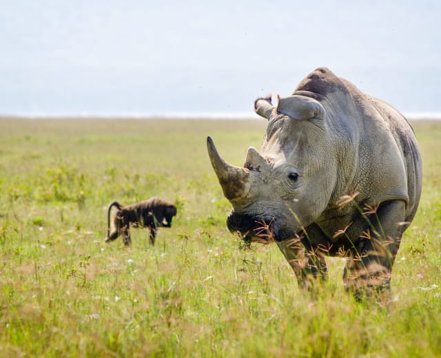 Magie du Kenya en famille