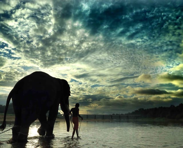 Voyage en famille : Nature, Éléphants et Sentiers
