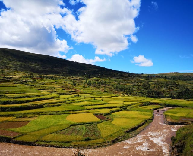 Le Grand Sud de Madagascar