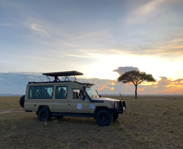 Kenya Majestueux : Un Voyage de 7 Jours à la Rencontre de la Faune